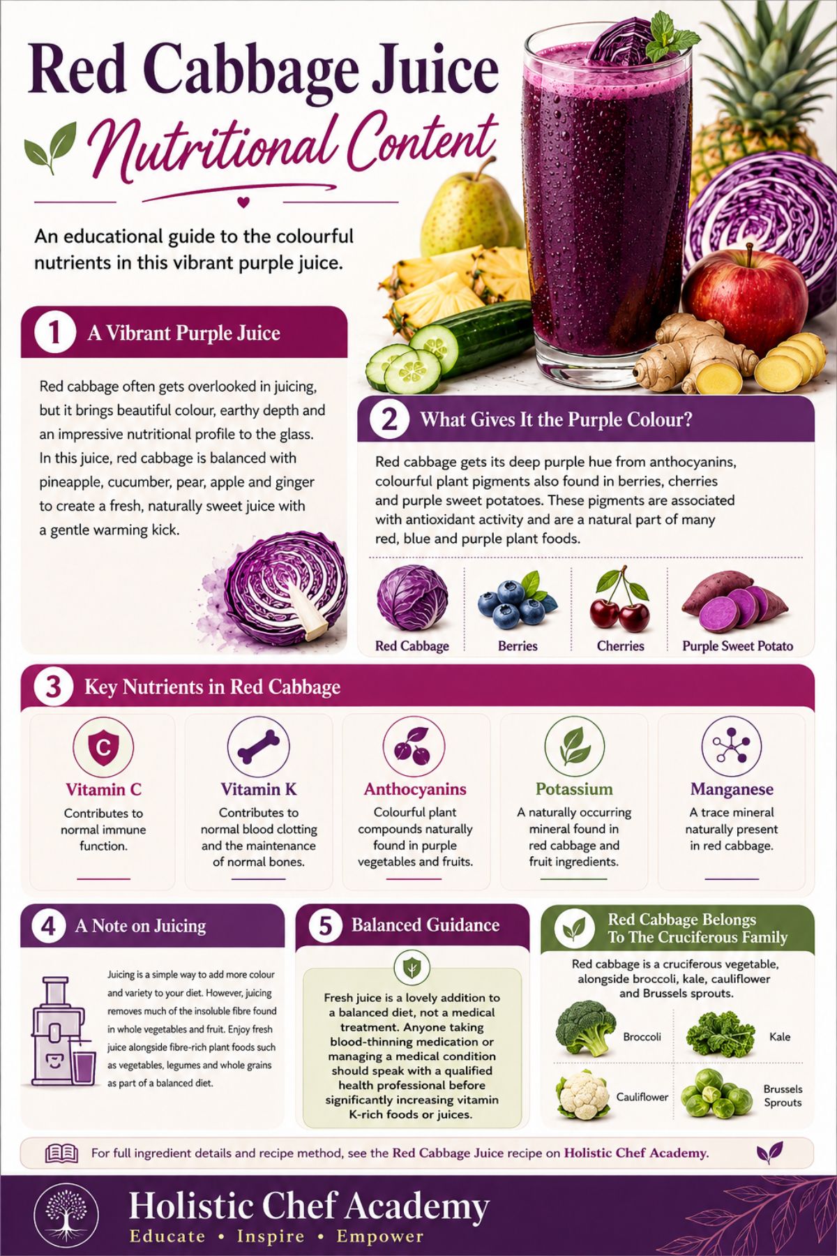 Red cabbagenutritional content infographic showing the purple juice, fresh ingredients and key nutrients including vitamin C, vitamin K, anthocyanins, potassium and manganese, with balanced guidance on juicing and fibre.