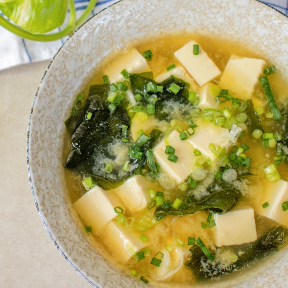 Traditional Japanese miso soup with tofu, wakame seaweed and spring onions