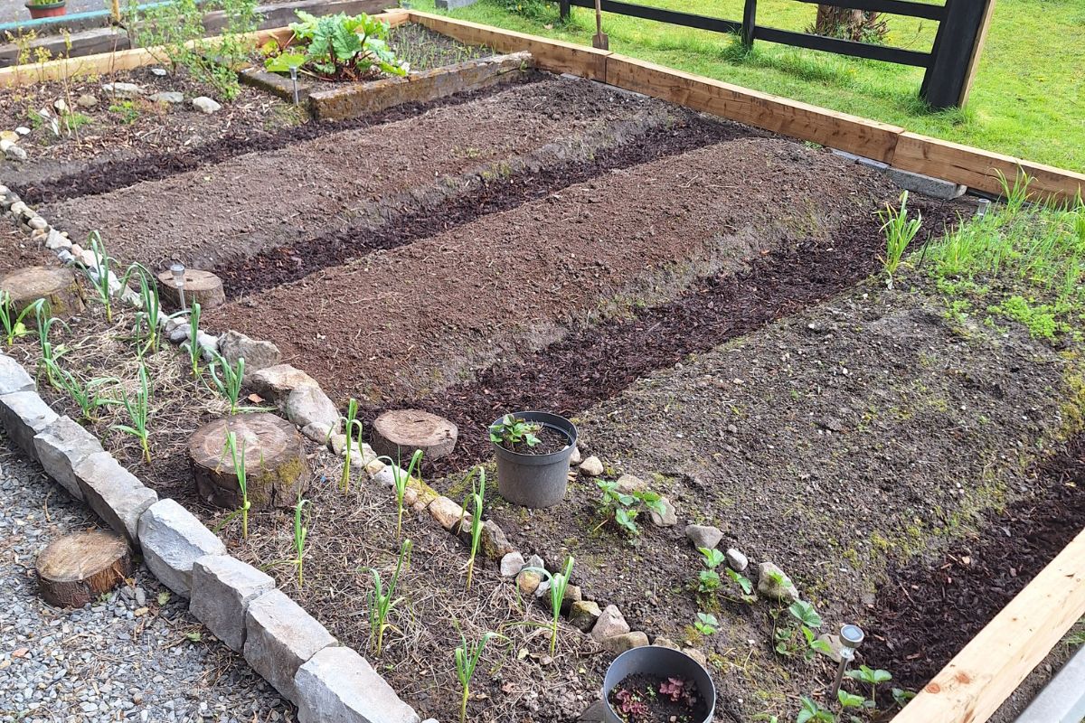Organic food growing at Tanglewood Farm